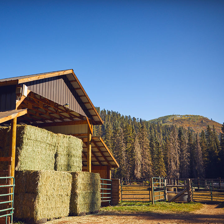 rocky western sales